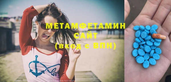 прущие грибы Чегем