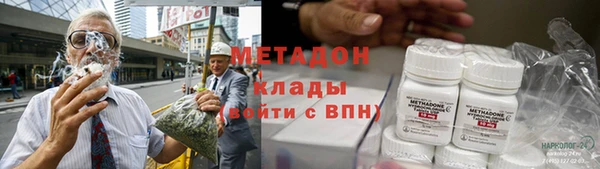 прущие грибы Чегем
