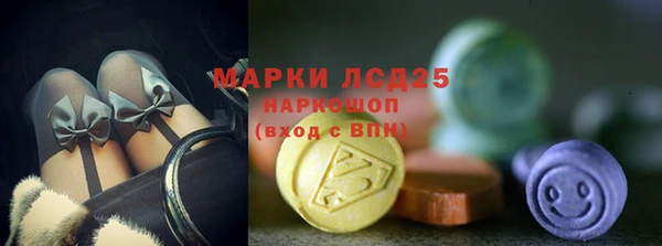 индика Заволжье
