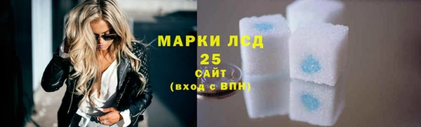 прущие грибы Чегем