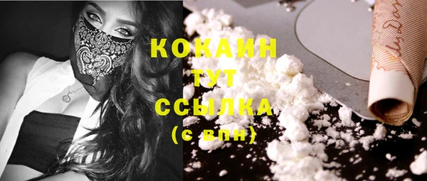 индика Заволжье